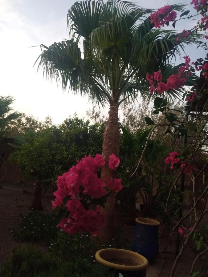 Auberge Bassou Nkob エクステリア 写真