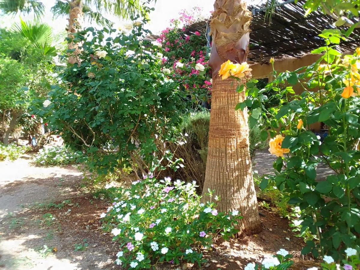 Auberge Bassou Nkob エクステリア 写真