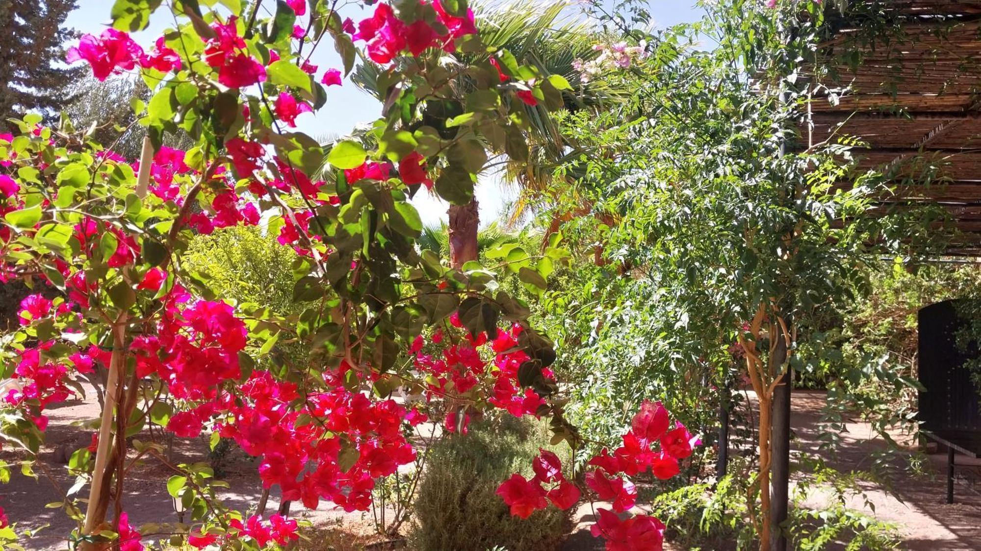 Auberge Bassou Nkob エクステリア 写真